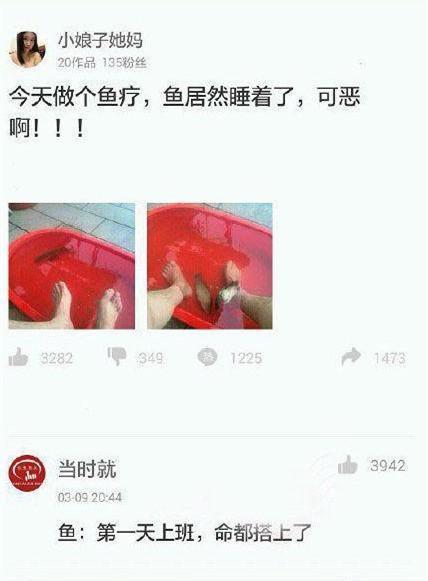 鱼睡着了动物gif搞笑图片