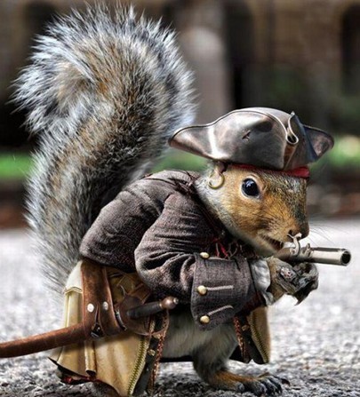 松鼠警官动物gif搞笑图片