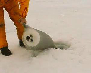 朋友劝吃土的我出坑的时候动物gif搞笑图片