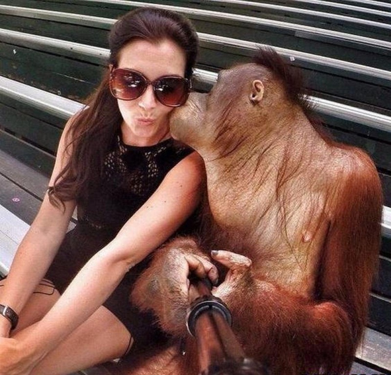 妹子你男朋友好强壮啊动物gif搞笑图片