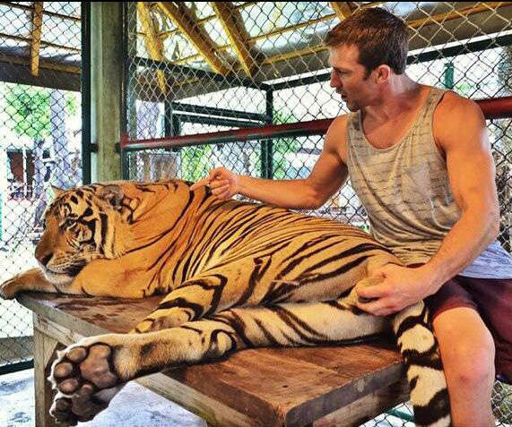 大哥你冷静点，有话好好说动物gif搞笑图片