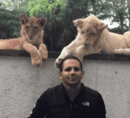 跟你说话呢动物gif搞笑图片