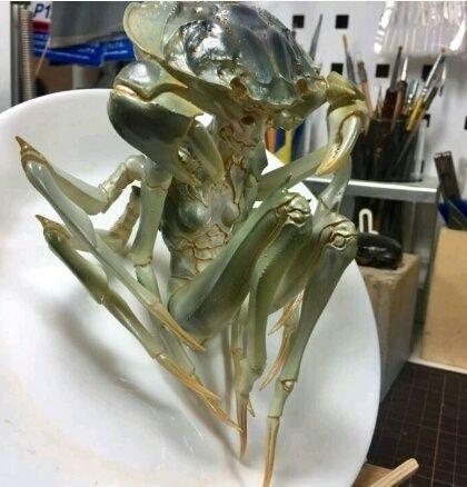 蟹女王动物gif搞笑图片