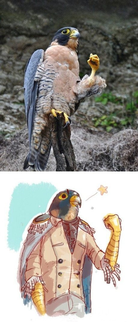 拟人动物gif搞笑图片