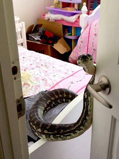 请问你找谁？动物gif搞笑图片