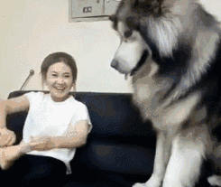 我不吃鱼，好恶心，快点拿走动物gif搞笑图片