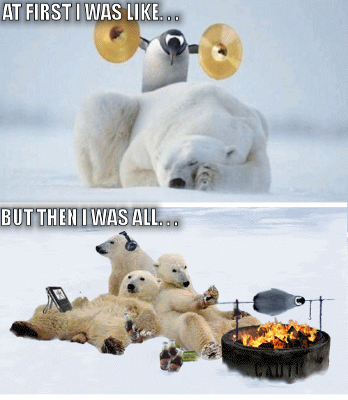 太岁头上动土动物gif搞笑图片