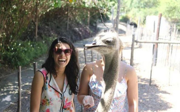 原来不仅人类会抢镜头，现在动物也学会了动物gif搞笑图片