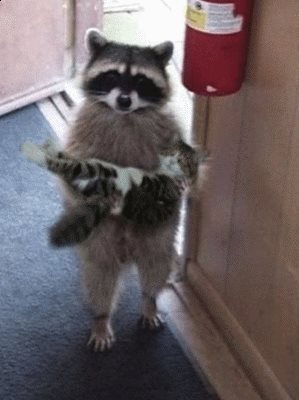 干脆面站起来了动物gif搞笑图片