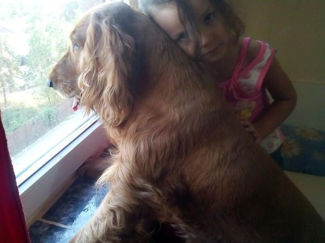 “听说看着窗外的样子还挺忧郁的。”动物gif搞笑图片