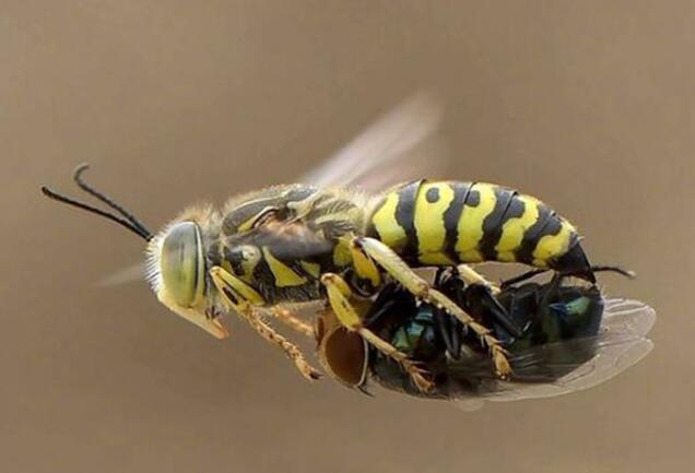 你俩真的不合适啊动物gif搞笑图片