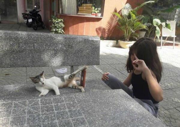 出门自拍没人帮忙怎么办动物gif搞笑图片