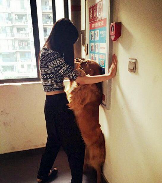 感受到我英姿逼人了吗动物gif搞笑图片