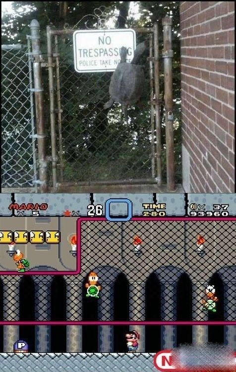 游戏和现实是相通动物gif搞笑图片