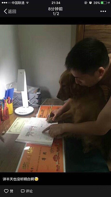 哪里不会点哪里，so easy动物gif搞笑图片