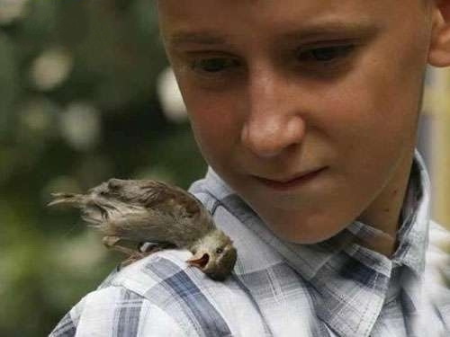 小帅哥，我好喜欢你啊！动物gif搞笑图片