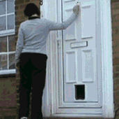 有人敲门，银呢？魂淡谁耍老娘呢动物gif搞笑图片