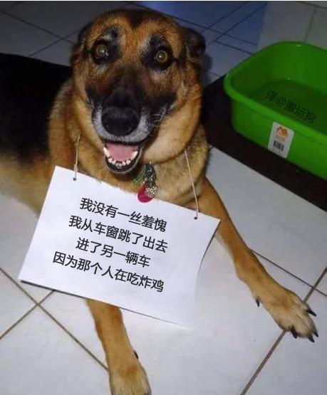 背面写着，真特么好吃动物gif搞笑图片