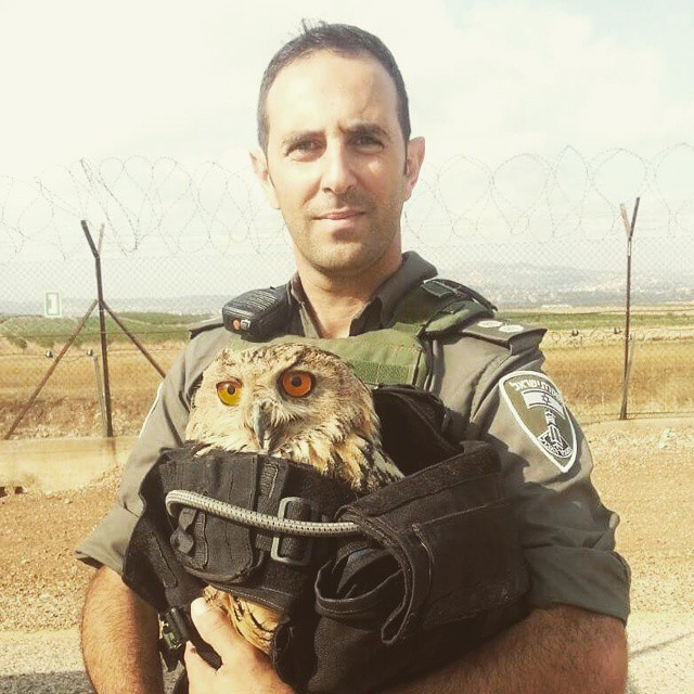 这军事装备好先进啊动物gif搞笑图片