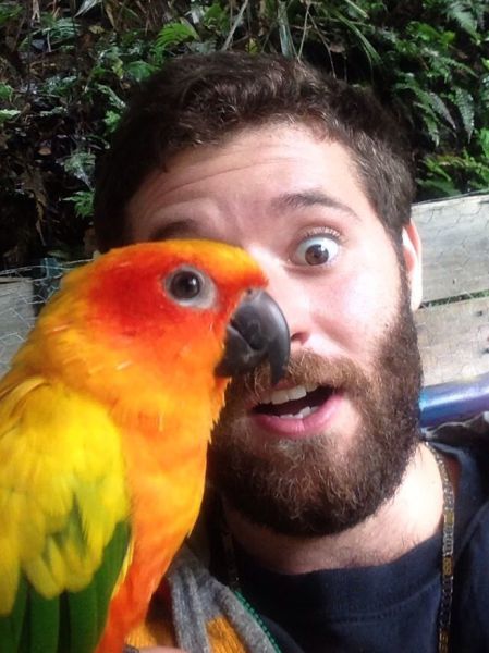 我家的鹦鹉很有默契哦动物gif搞笑图片