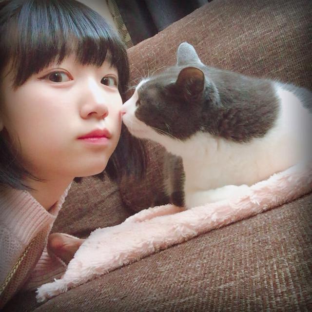 猫猫的吻动物gif搞笑图片