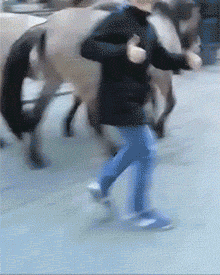 滚开，别跟着老子动物gif搞笑图片