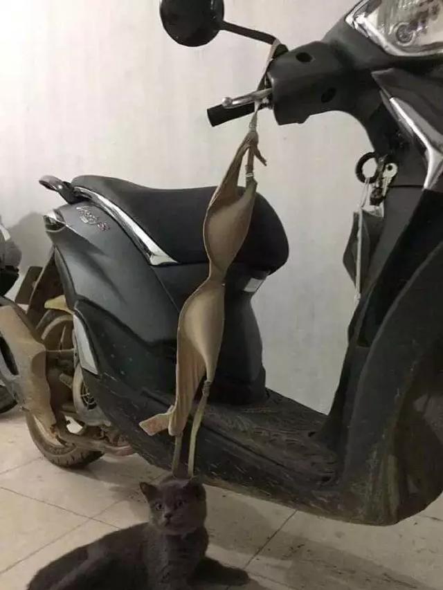 差一点就被女性用品给吊死了动物gif搞笑图片