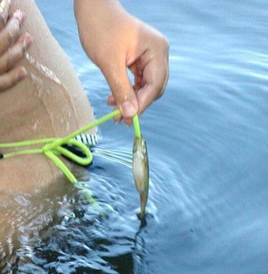 不会钓鱼也可以钓到鱼动物gif搞笑图片