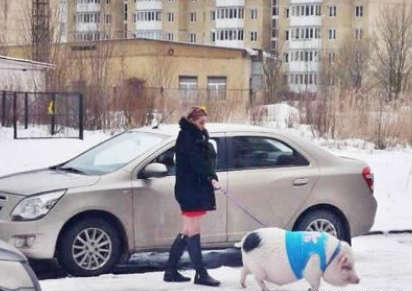 我有一张美女牵着你逛街的照片动物gif搞笑图片