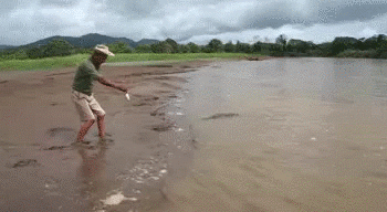 自己要作死谁也拦不住动物gif搞笑图片