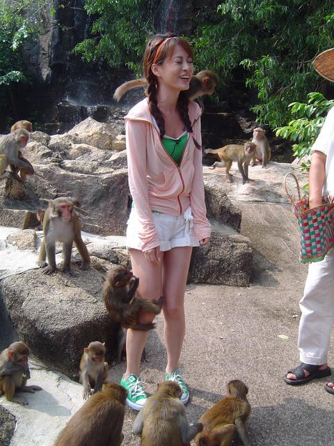 小猴子调戏美女动物gif搞笑图片