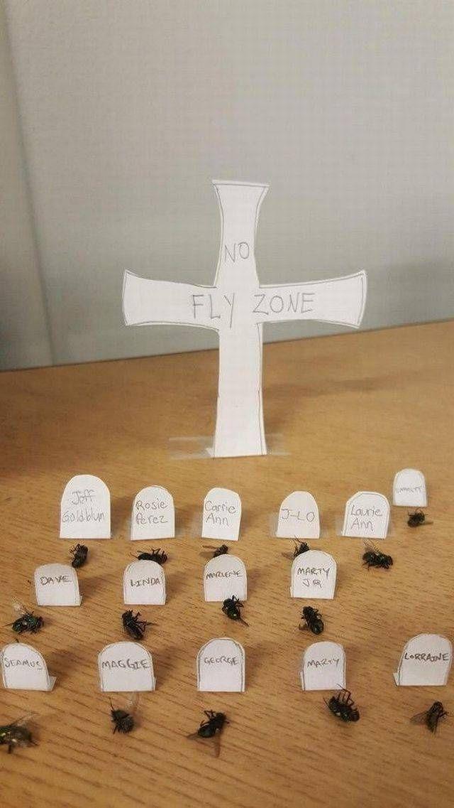 真特么闲动物gif搞笑图片