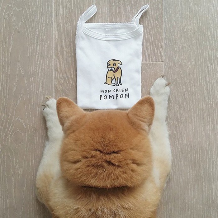 我小时候的照片帅吗动物gif搞笑图片