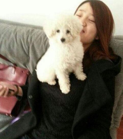 站的好稳当的样子动物gif搞笑图片