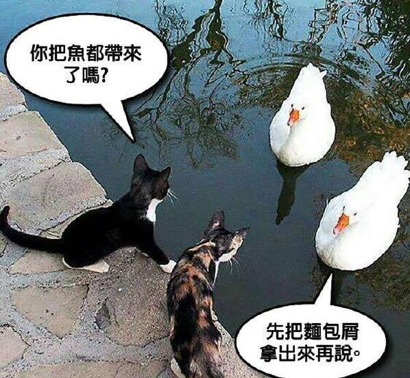 自然界的PY交易动物gif搞笑图片