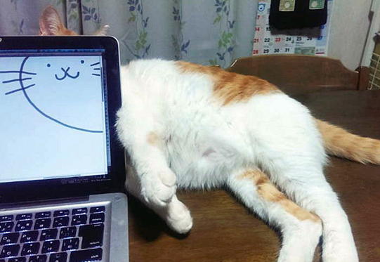 喵大人你要相信我的画技，绝对一流……动物gif搞笑图片