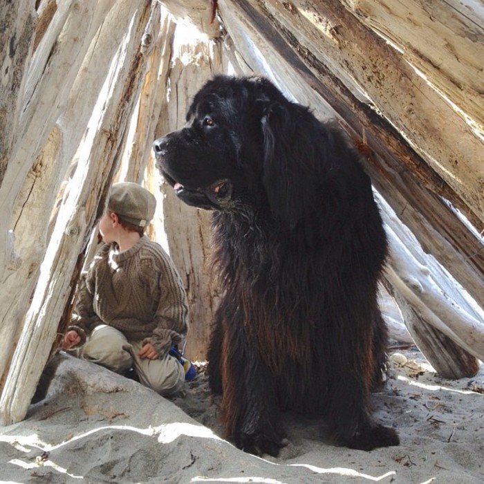 外面什么情况？动物gif搞笑图片