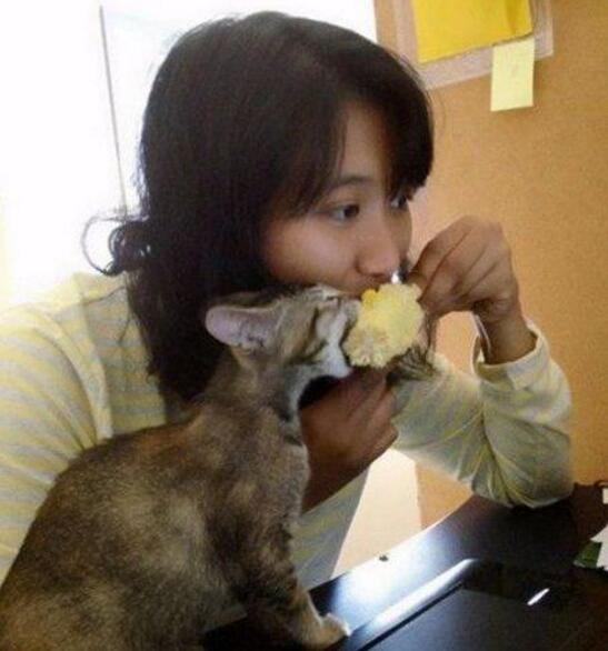 二喵，你这样跟我抢真的好吗动物gif搞笑图片