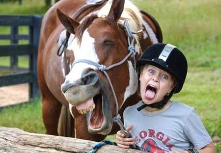 动物的超强模仿动物gif搞笑图片