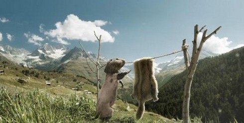 天终于晴了动物gif搞笑图片