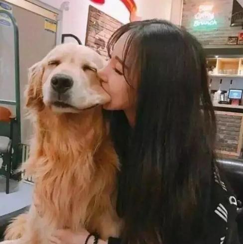 陶醉动物gif搞笑图片