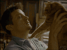 接着吻我，别说话动物gif搞笑图片