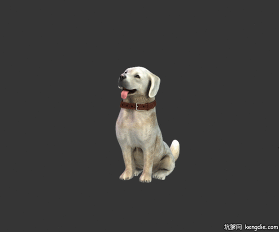 可爱的小狗狗啃骨头动画动态图片动物gif搞笑图片