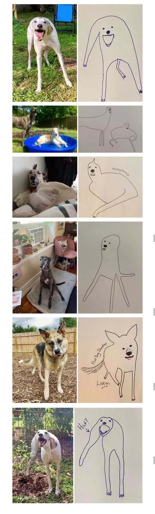 不能说完全相似,只能说一模一样动物gif搞笑图片