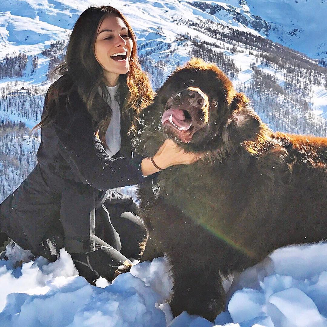 主人息怒，我知错了动物gif搞笑图片