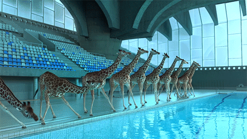 这些长颈鹿都成精了动物gif搞笑图片