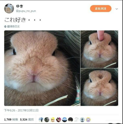 这么可爱，你为什么要戳它呢动物gif搞笑图片