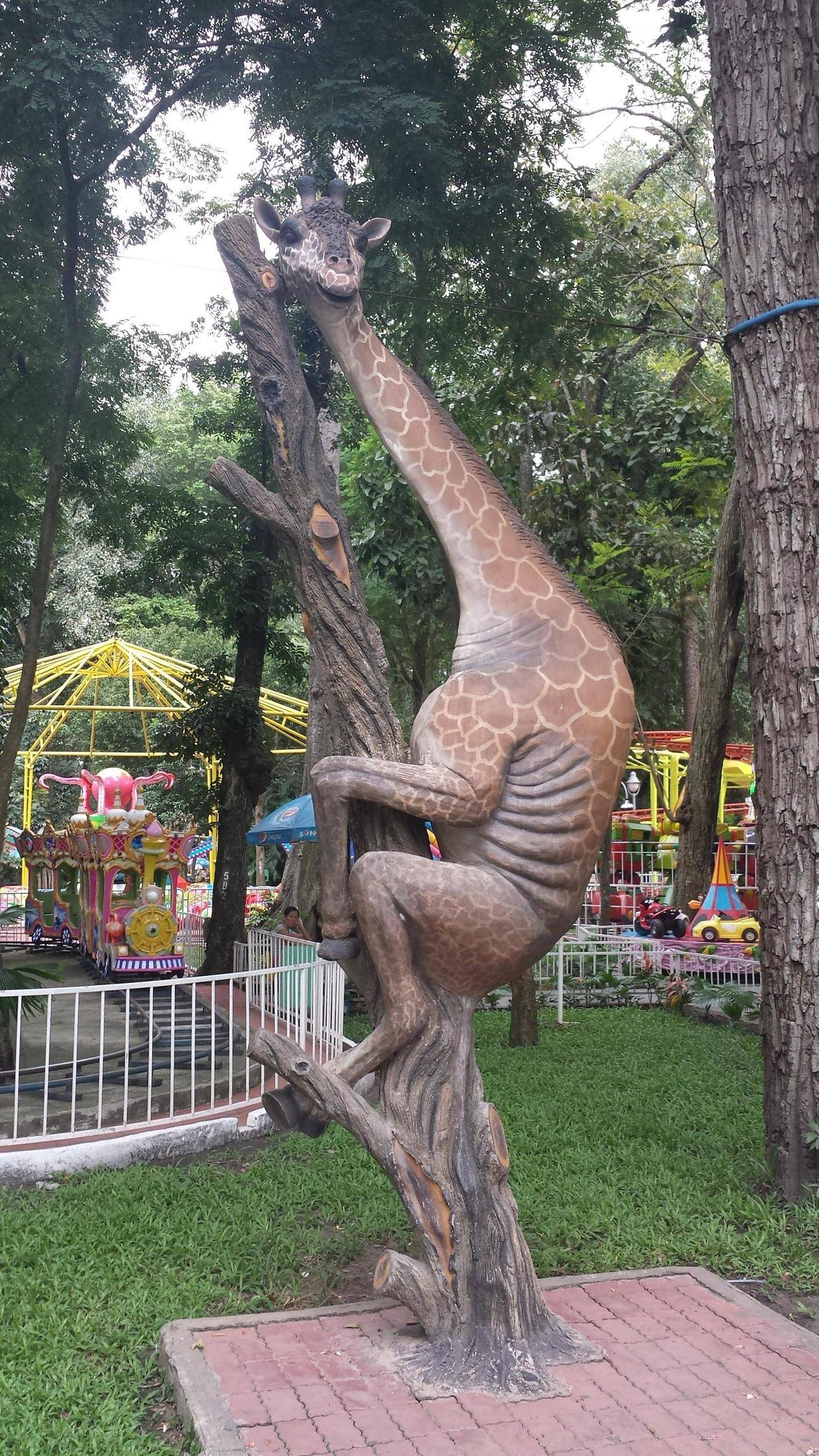 那个啥，某某靠得住，长颈鹿会上树啊动物gif搞笑图片