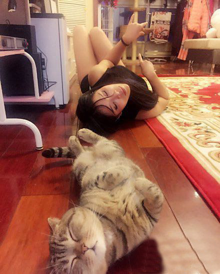 另类附体，真假难辨动物gif搞笑图片