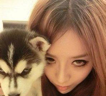 愚蠢的人类，表学我动物gif搞笑图片